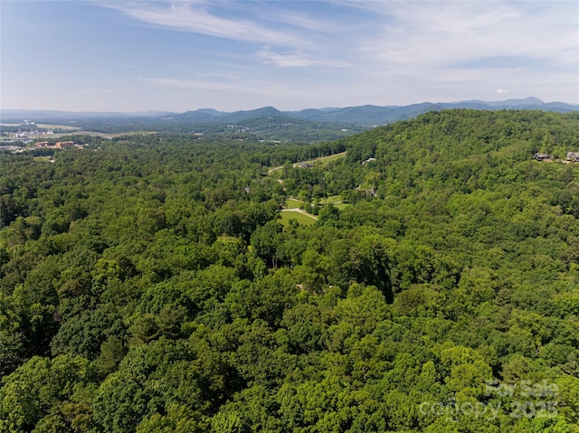 33 Deerhaven Ln, Asheville, NC 28803 - photo 47