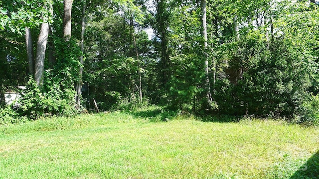 57 Sizer Dr, Mills River, NC 28759 - photo 7