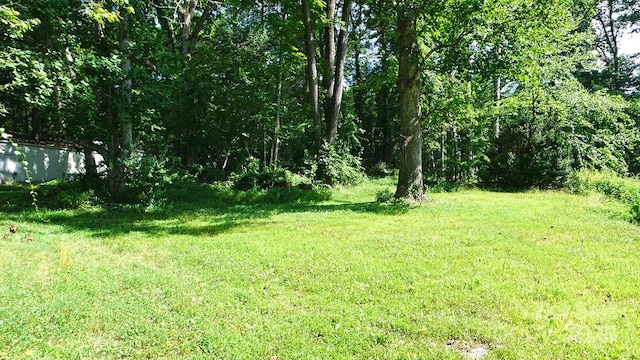 57 Sizer Dr, Mills River, NC 28759 - photo 11