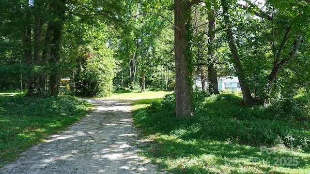 57 Sizer Dr, Mills River, NC 28759 - photo 12