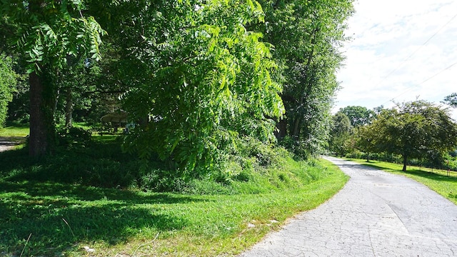 57 Sizer Dr, Mills River, NC 28759 - photo 13
