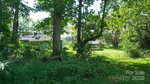 57 Sizer Dr, Mills River, NC 28759 - photo 16