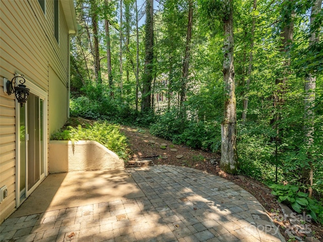 204 Pine Berry Cir, Hendersonville, NC 28739 - photo 39