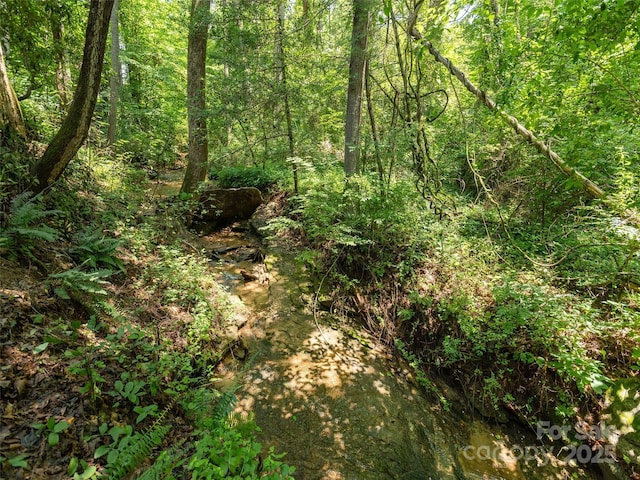 204 Pine Berry Cir, Hendersonville, NC 28739 - photo 41