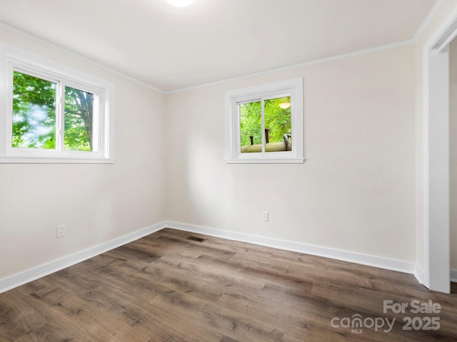64 Bellevue Rd, Asheville, NC 28803 - photo 15