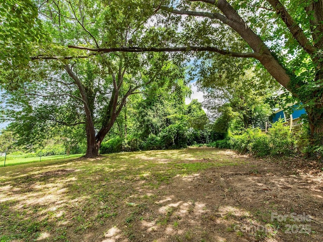 64 Bellevue Rd, Asheville, NC 28803 - photo 25
