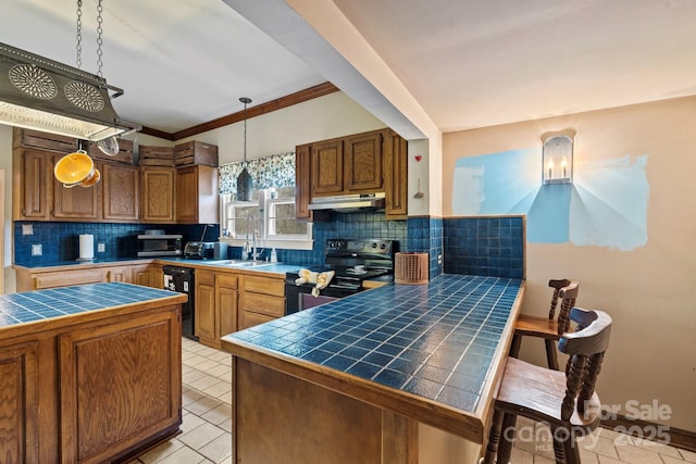3809 Union Hill Rd, East Bend, NC 27018 - kitchen featuring black appliances, tile countertops, under cabinet range hood, and decorative backsplash