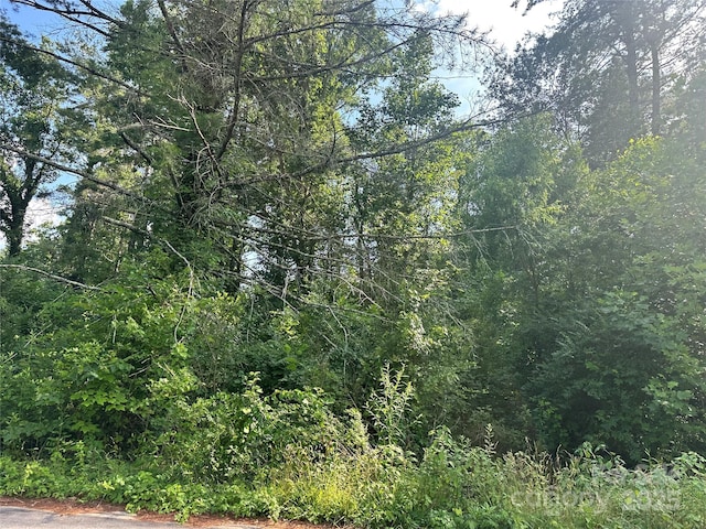 LOT133 Brandon Rd, Hendersonville, NC 28739 - photo 1