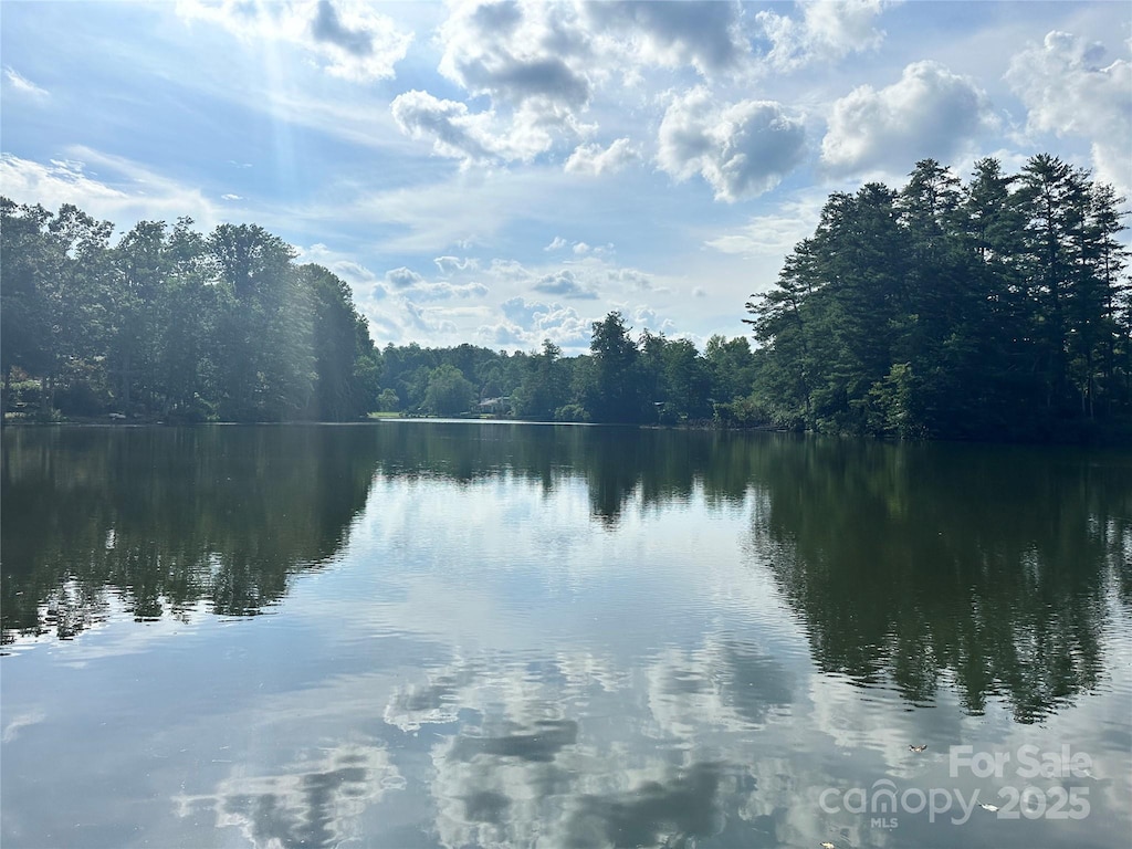 LOT133 Brandon Rd, Hendersonville, NC 28739 - photo 2