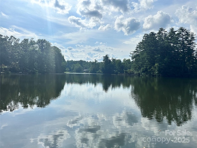LOT133 Brandon Rd, Hendersonville, NC 28739 - photo 2