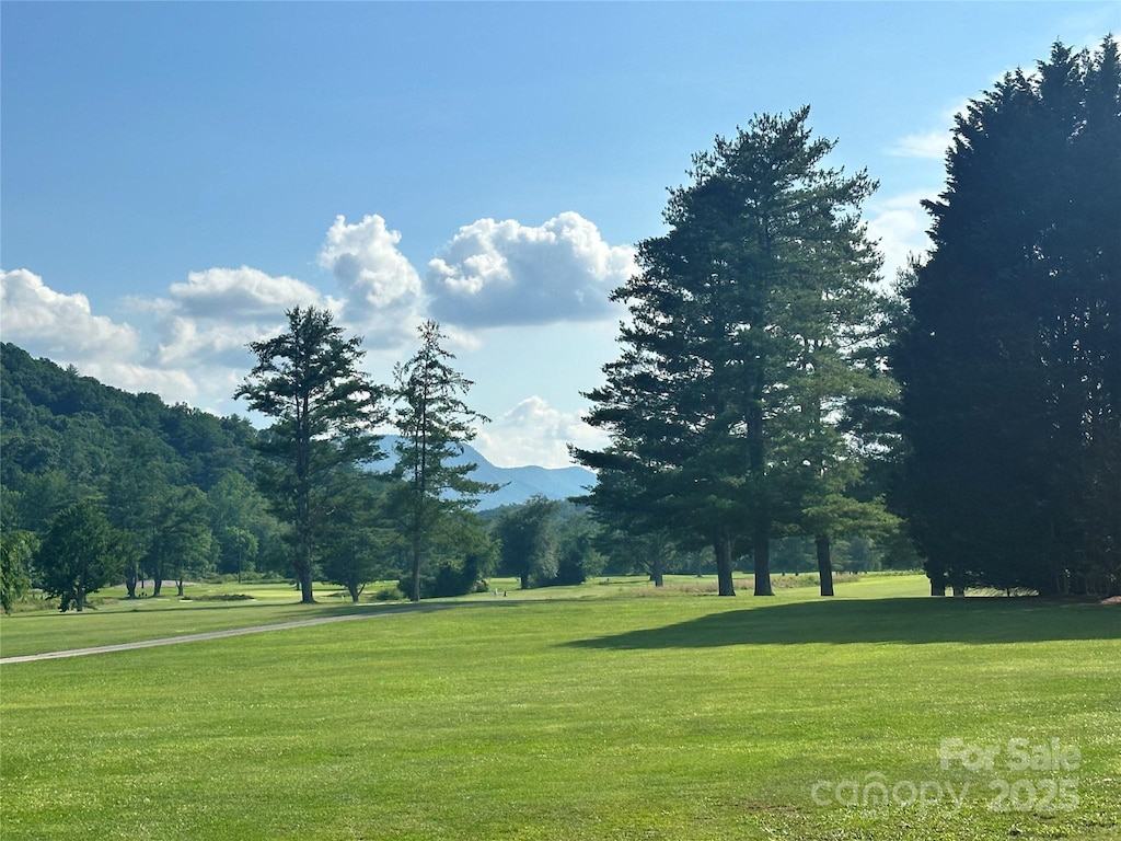 LOT133 Brandon Rd, Hendersonville, NC 28739 - photo 4