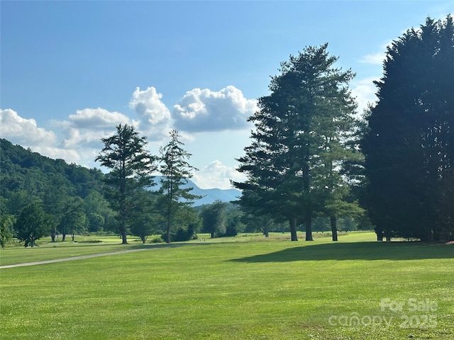 LOT133 Brandon Rd, Hendersonville, NC 28739 - photo 4