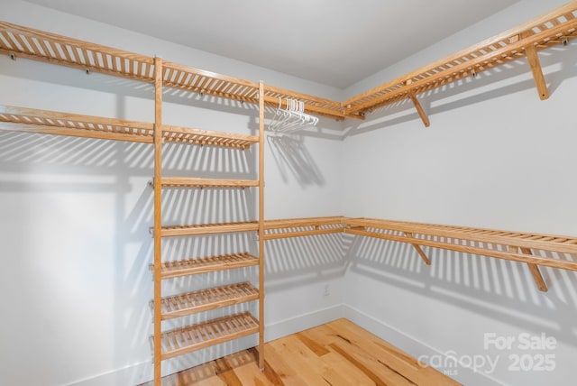 11 Upland Rd, Asheville, NC 28804 - photo 17