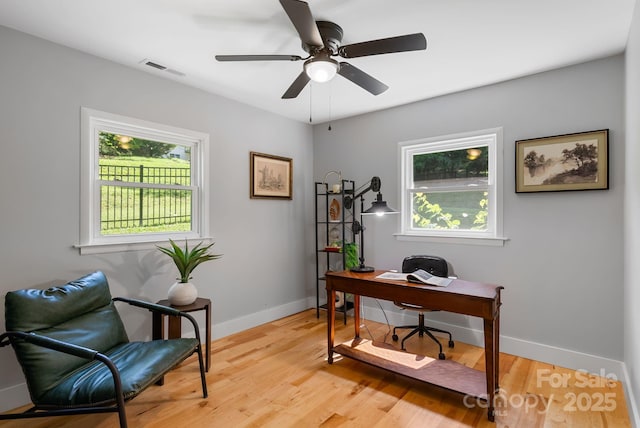 11 Upland Rd, Asheville, NC 28804 - photo 20