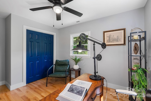 11 Upland Rd, Asheville, NC 28804 - photo 21