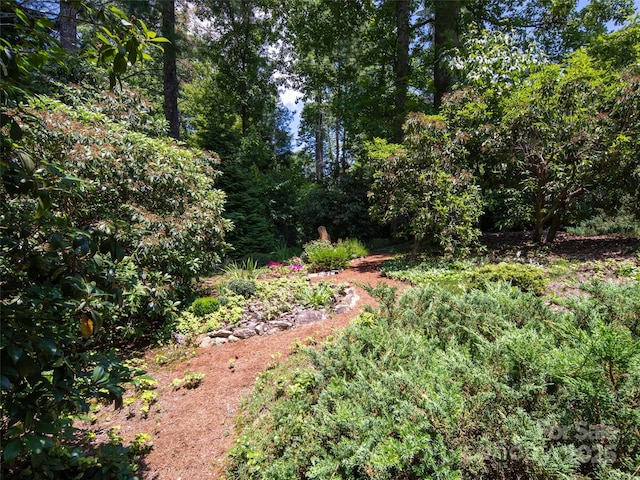 19 Jasmine Pl, Laurel Park, NC 28739 - view of yard