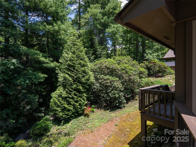 19 Jasmine Pl, Laurel Park, NC 28739 - view of yard