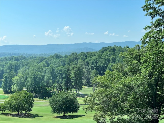 140 Bent Tree Dr Unit 3, Hendersonville, NC 28739 - photo 4