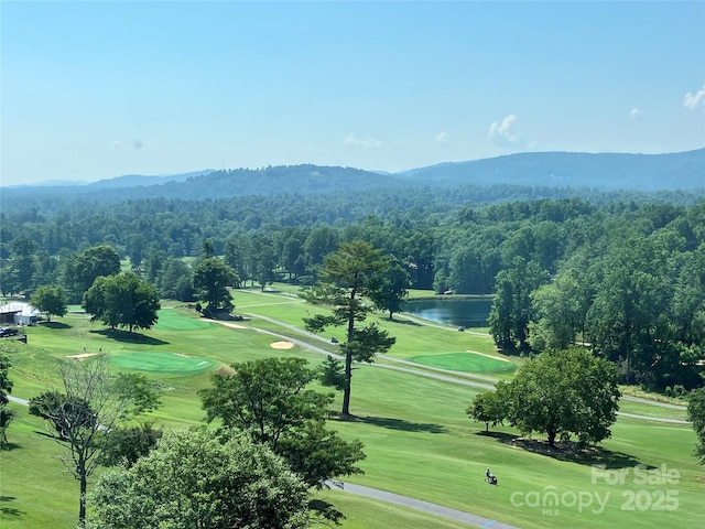 140 Bent Tree Dr Unit 3, Hendersonville, NC 28739 - photo 5