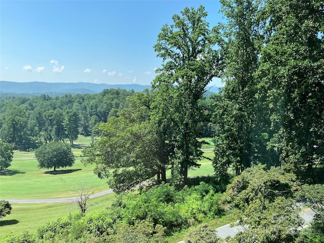 140 Bent Tree Dr Unit 3, Hendersonville, NC 28739 - photo 6