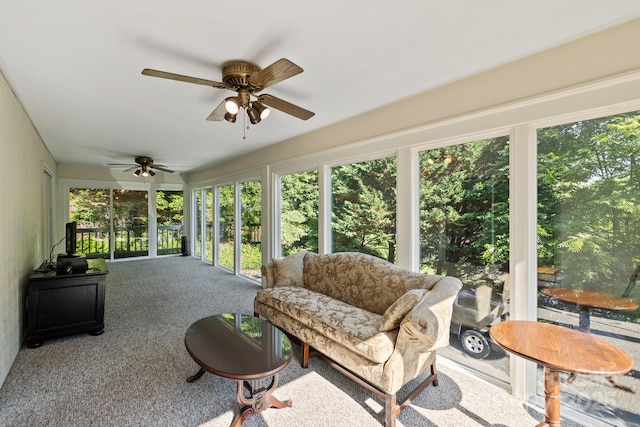 123 Haywood Knolls Dr, Hendersonville, NC 28791 - photo 6