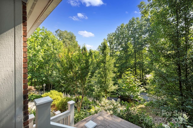 123 Haywood Knolls Dr, Hendersonville, NC 28791 - photo 26