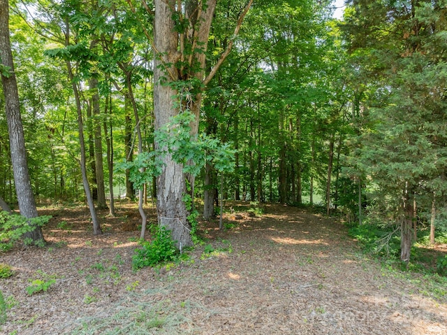200 Greenbay Rd, Mooresville, NC 28117 - photo 11