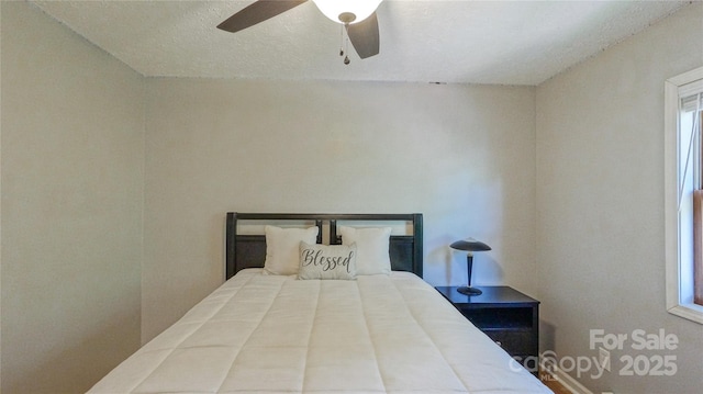 244 Clay Hodges Rd, Boone, NC 28607 - photo 20