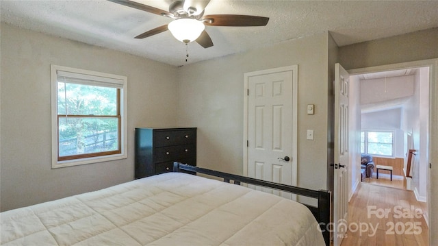 244 Clay Hodges Rd, Boone, NC 28607 - photo 21
