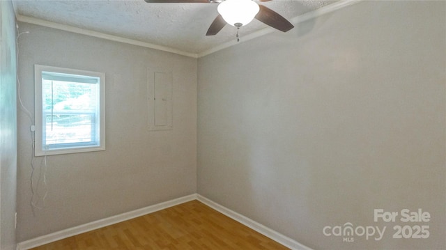 244 Clay Hodges Rd, Boone, NC 28607 - photo 29