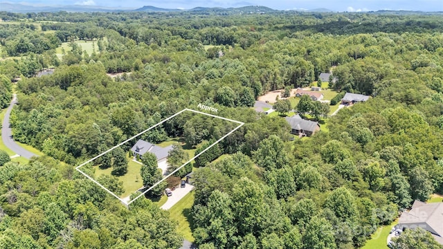 288 Grapevine Cir, Taylorsville, NC 28681 - photo 44