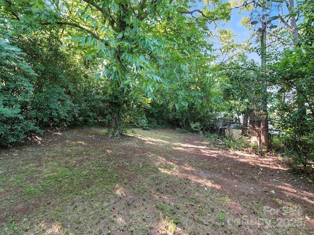 116 Honeywood Ave, Charlotte, NC 28216 - photo 40