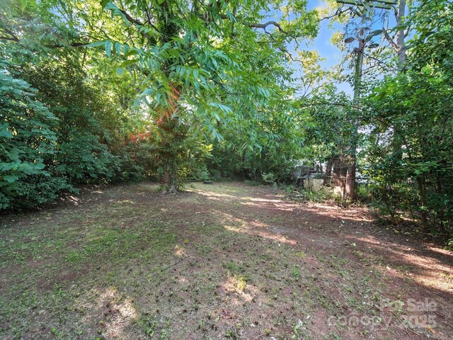 116 Honeywood Ave, Charlotte, NC 28216 - photo 41
