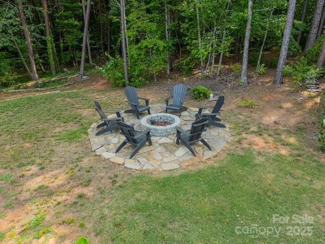 446 Farm Branch Dr, Fort Mill, SC 29715 - photo 32