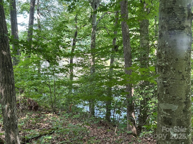 123 High Shoals Ln Unit 19, Statesville, NC 28677 - photo 25