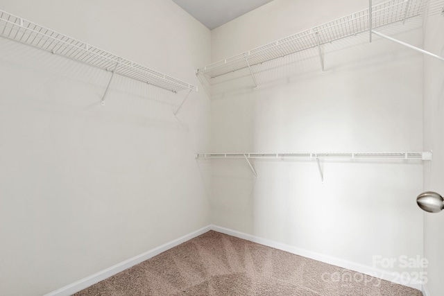 9324 Ainslie Downs St, Charlotte, NC 28273 - photo 15