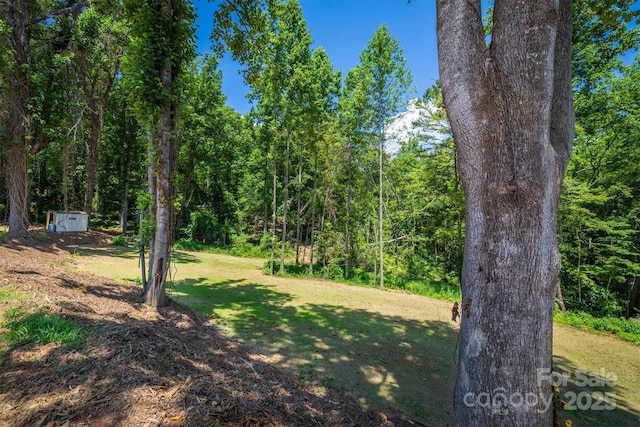 6939 Knob Ave, Connelly Springs, NC 28612 - view of green lawn with a storage shed and a forest view
