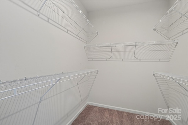 5037 Patton Dr, Gastonia, NC 28056 - spacious closet featuring carpet