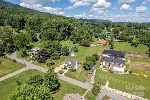118 Robertson St, Burnsville, NC 28714 - photo 46
