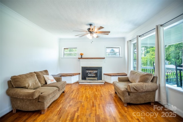 118 Robertson St, Burnsville, NC 28714 - photo 7