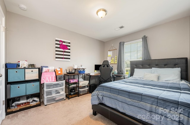 109 Wingstem Ct, Mooresville, NC 28117 - photo 24