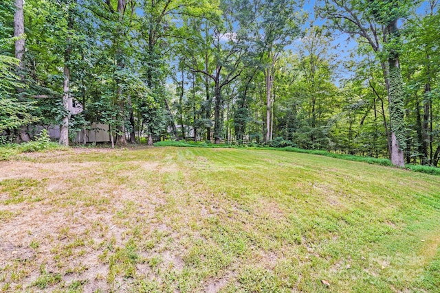 3920 Tilley Morris Rd, Matthews, NC 28105 - view of green lawn