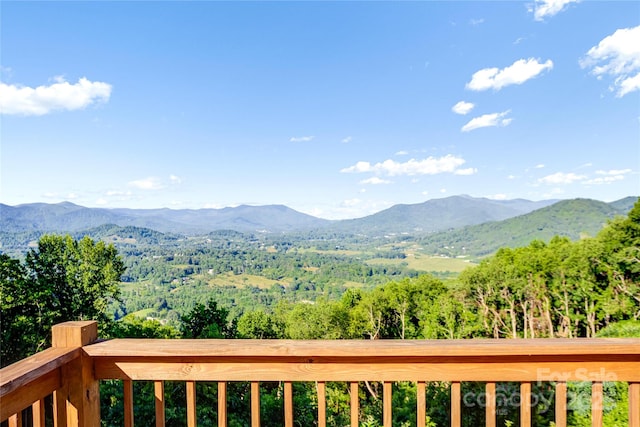 1087 Brigadoon Dr, Clyde, NC 28721 - photo 24