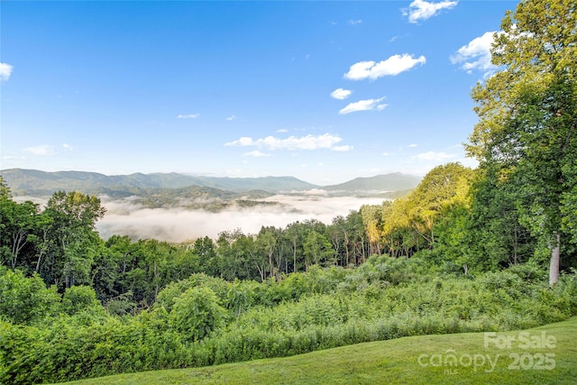 1087 Brigadoon Dr, Clyde, NC 28721 - photo 25
