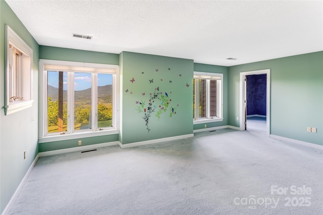 1087 Brigadoon Dr, Clyde, NC 28721 - photo 28