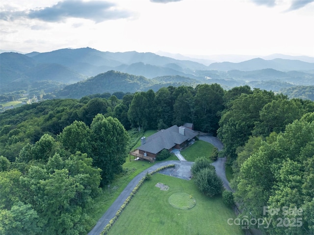 1087 Brigadoon Dr, Clyde, NC 28721 - photo 31