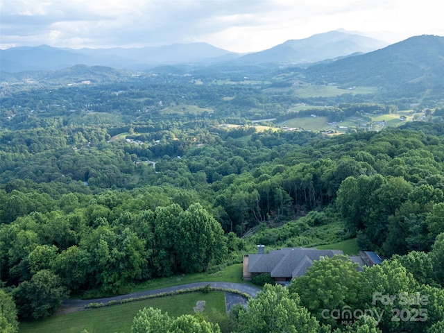 1087 Brigadoon Dr, Clyde, NC 28721 - photo 33