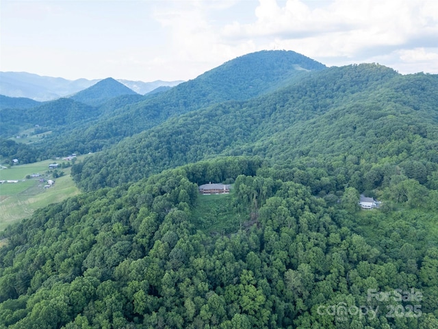 1087 Brigadoon Dr, Clyde, NC 28721 - photo 36