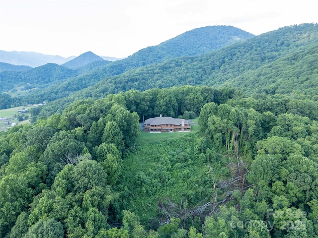 1087 Brigadoon Dr, Clyde, NC 28721 - photo 37