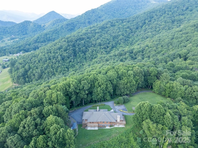 1087 Brigadoon Dr, Clyde, NC 28721 - photo 38